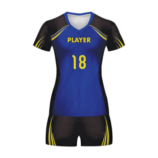 Volley Ball