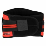 Support Belt - Image 5