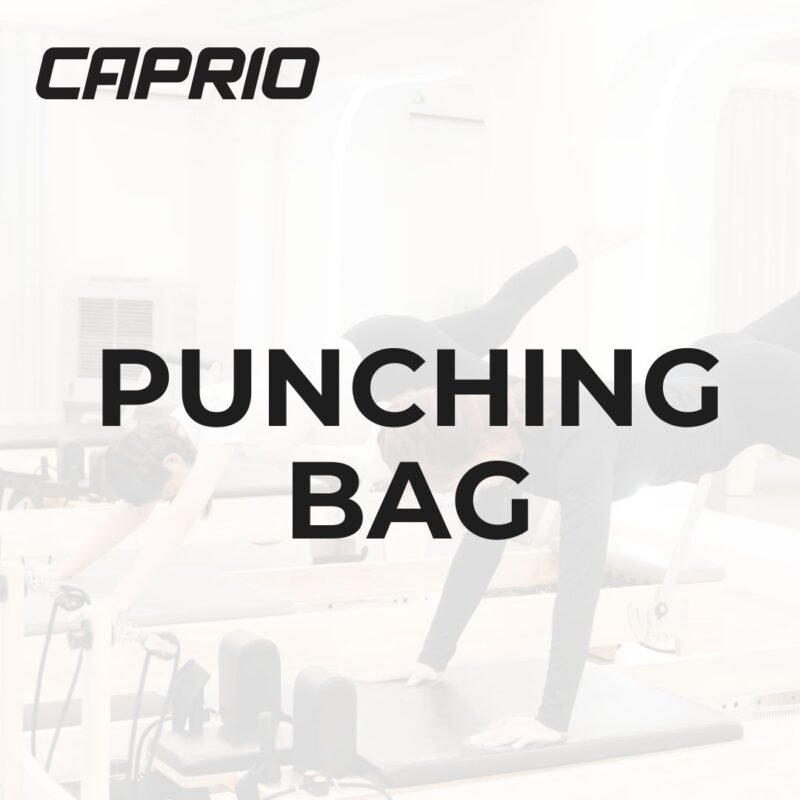Punching Bag