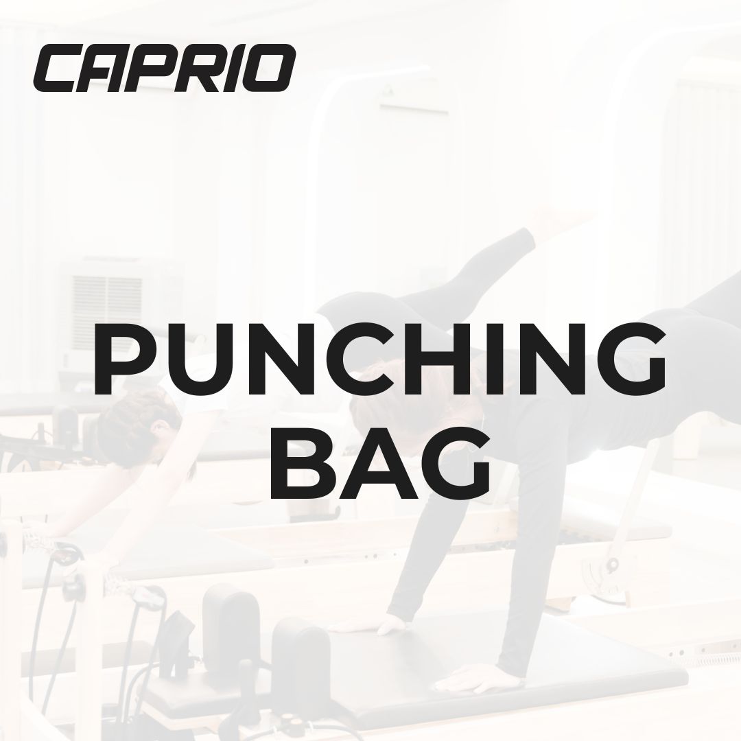 Punching Bag