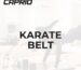 Karate Belt