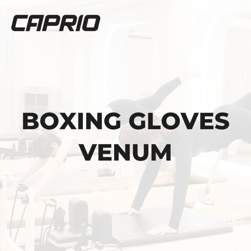 Boxing Gloves Venum
