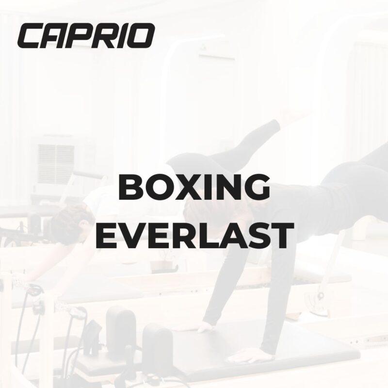 Boxing Everlast