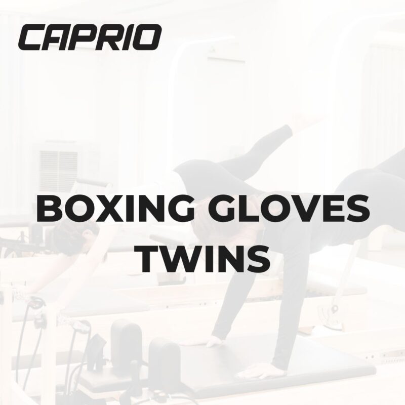 Boxing Gloves Twins