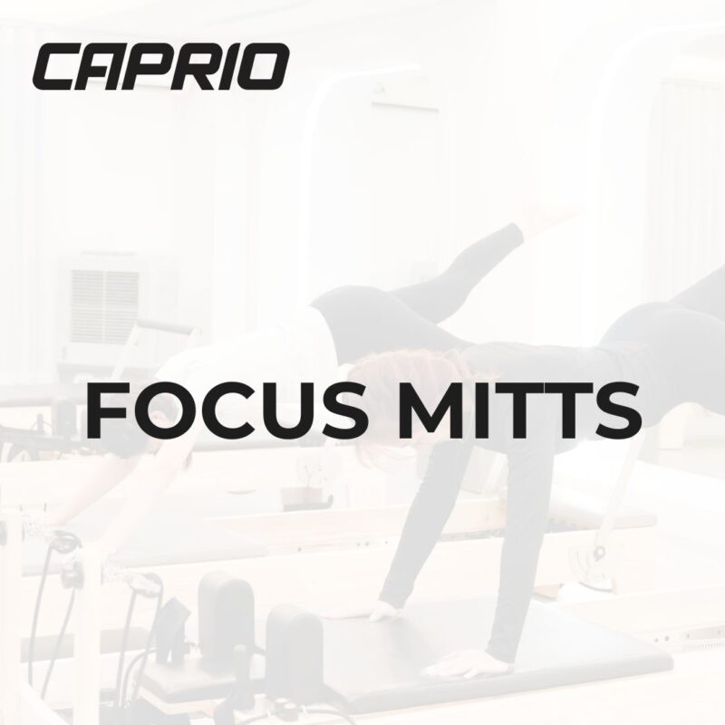 Focus Mitts