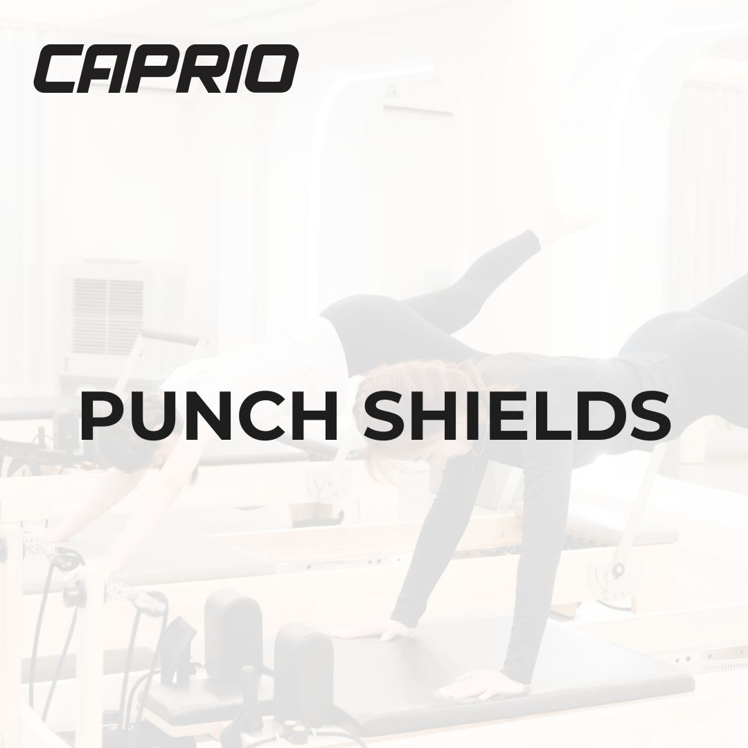 Punch Shields