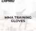MMA Training Gloves
