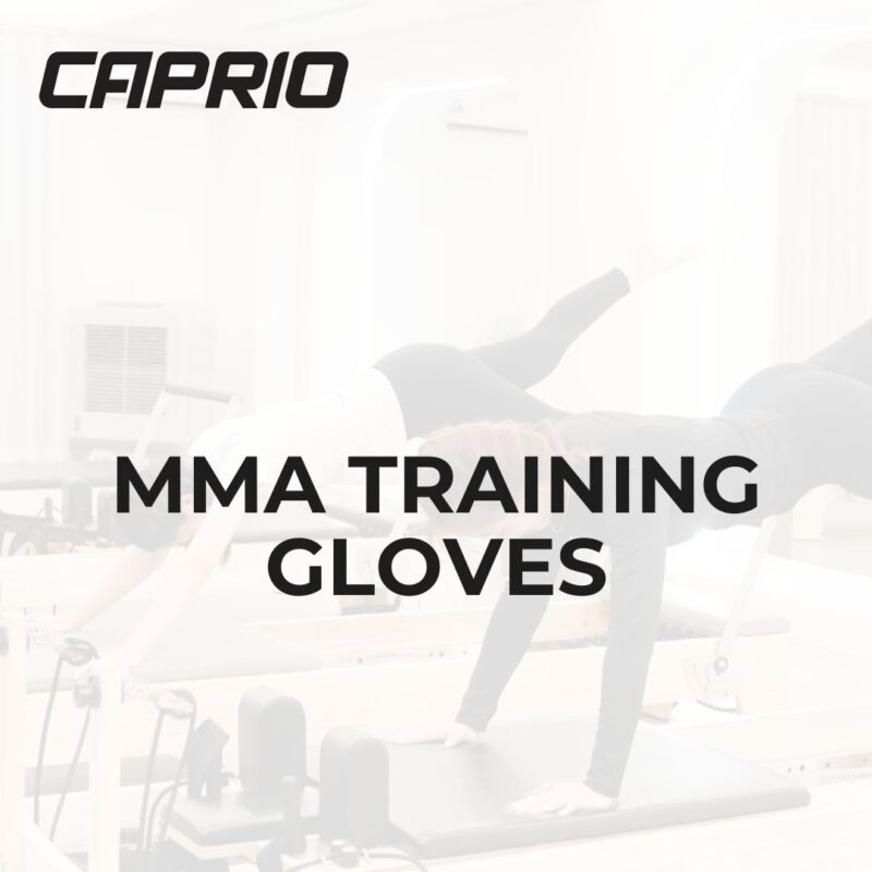 MMA Training Gloves
