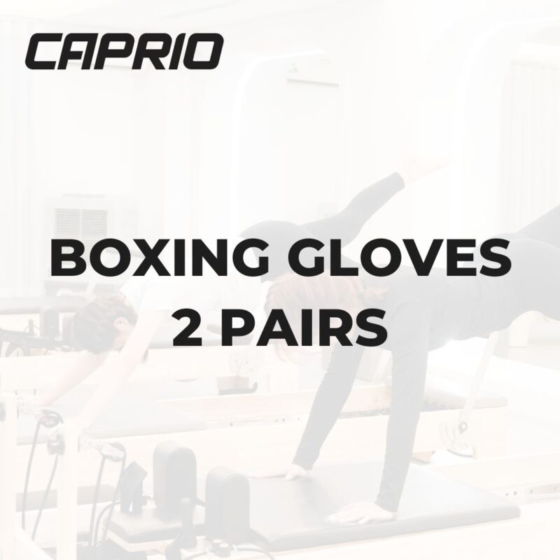 BOXING GLOVES 2 PAIRS