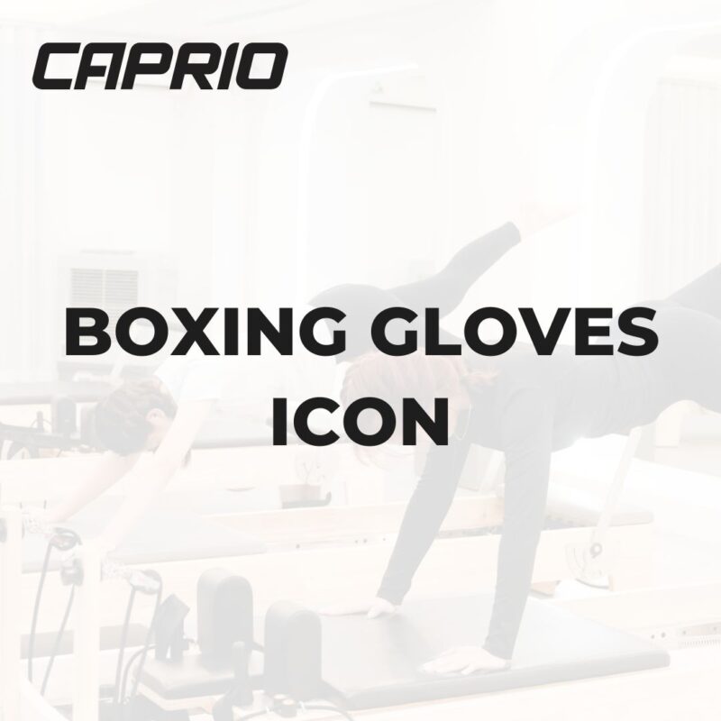 BOXING GLOVES ICON