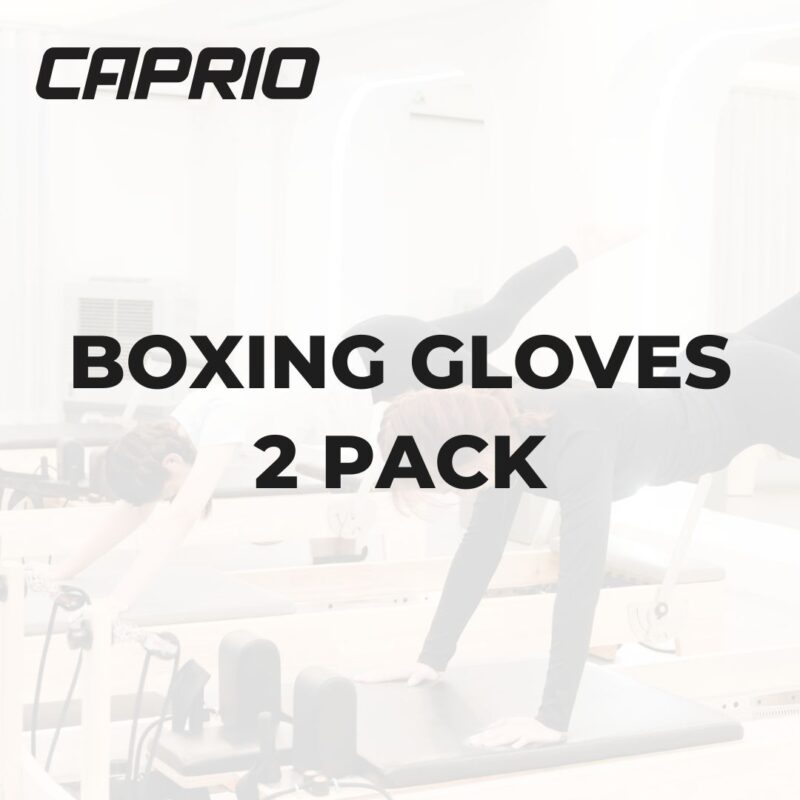 BOXING GLOVES 2 pack