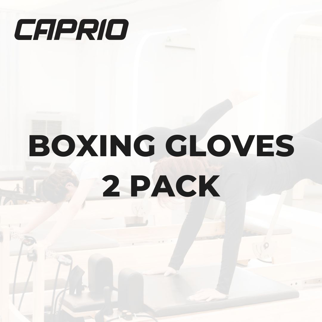 BOXING GLOVES 2 pack