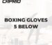 BOXING GLOVES 5 BELOW