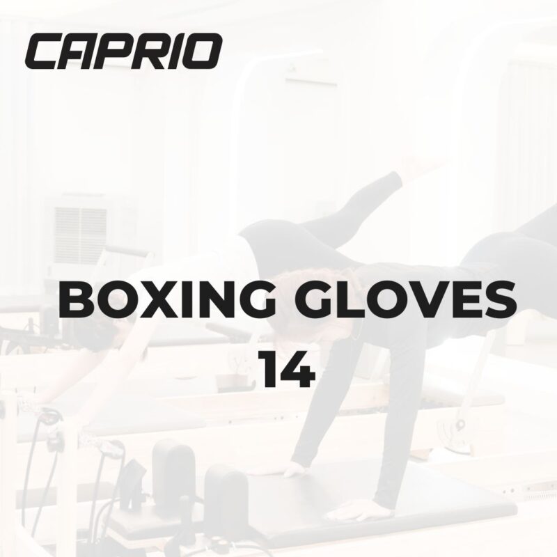 BOXING GLOVES 14