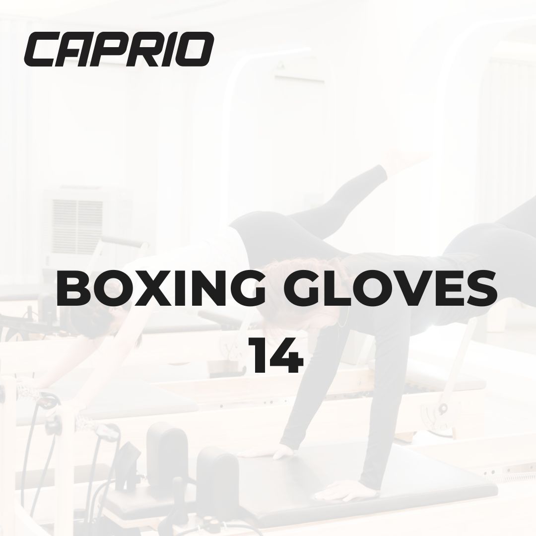 BOXING GLOVES 14