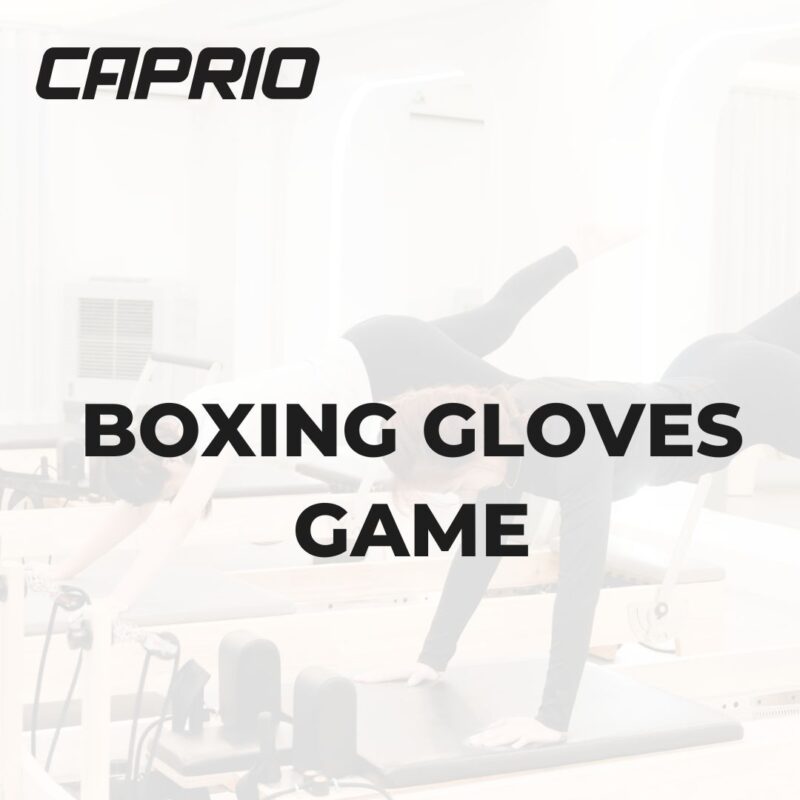 BOXING GLOVES GAME